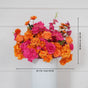 60x45cm Flower Row