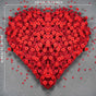 W 2*H 2m flower wall