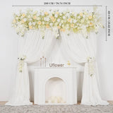 Uflower Cream White Butterfly Orchid Background Flower Row MC80033-01 - Uflower