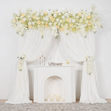 Uflower Cream White Butterfly Orchid Background Flower Row MC80033-01 - Uflower