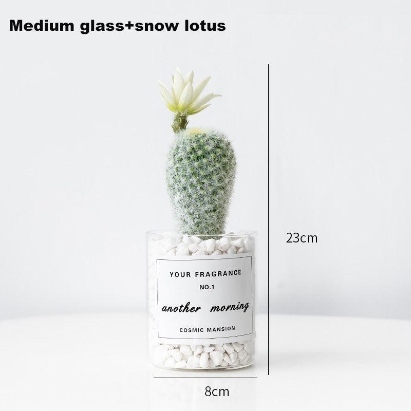 Interior decoration of medium-sized simulated succulent furniture - Uflower