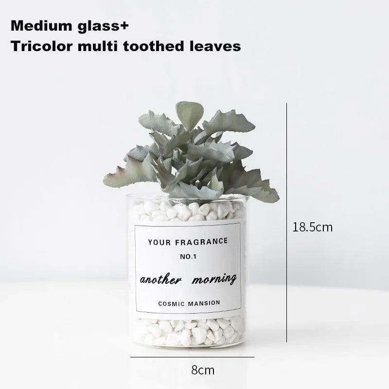 Interior decoration of medium-sized simulated succulent furniture - Uflower