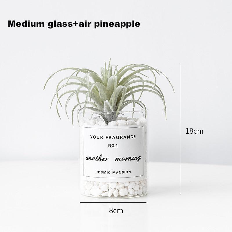 Interior decoration of medium-sized simulated succulent furniture - Uflower