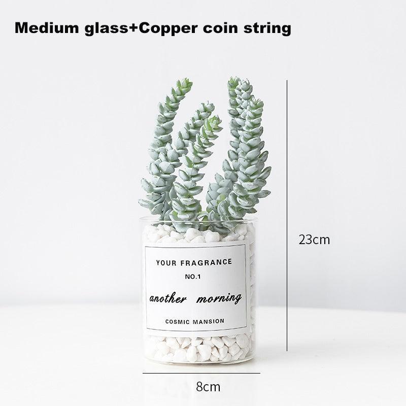 Interior decoration of medium-sized simulated succulent furniture - Uflower