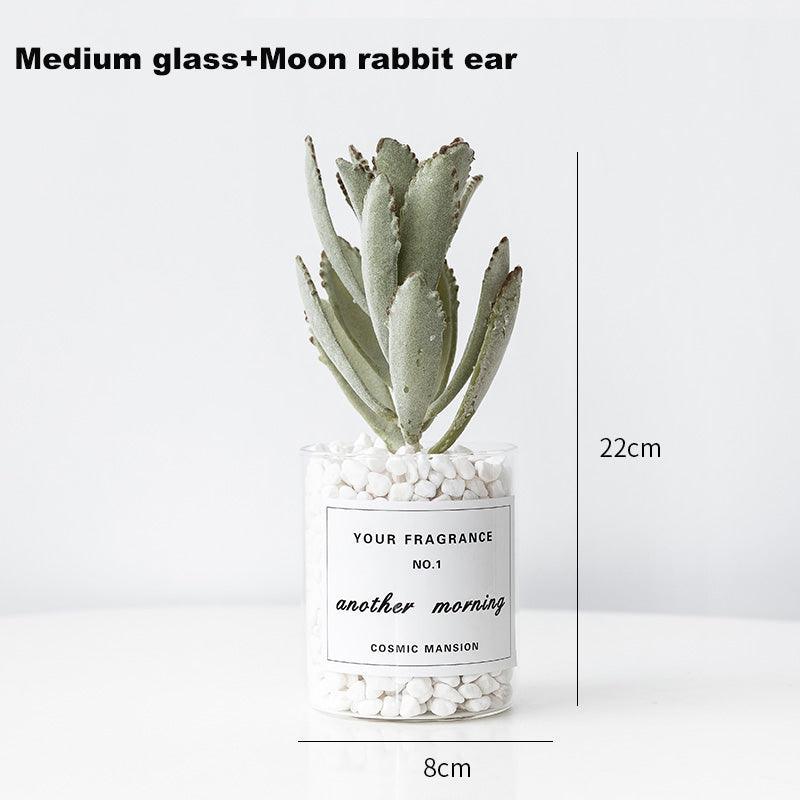 Interior decoration of medium-sized simulated succulent furniture - Uflower