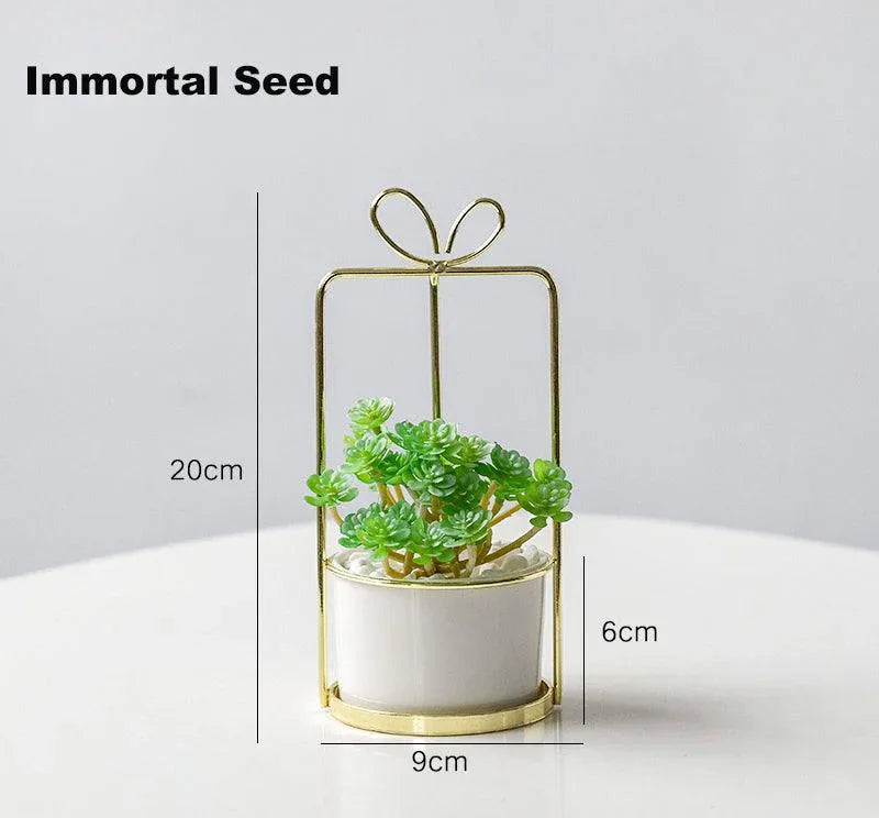 Portable simulation succulent indoor study and living room decoration - Uflower