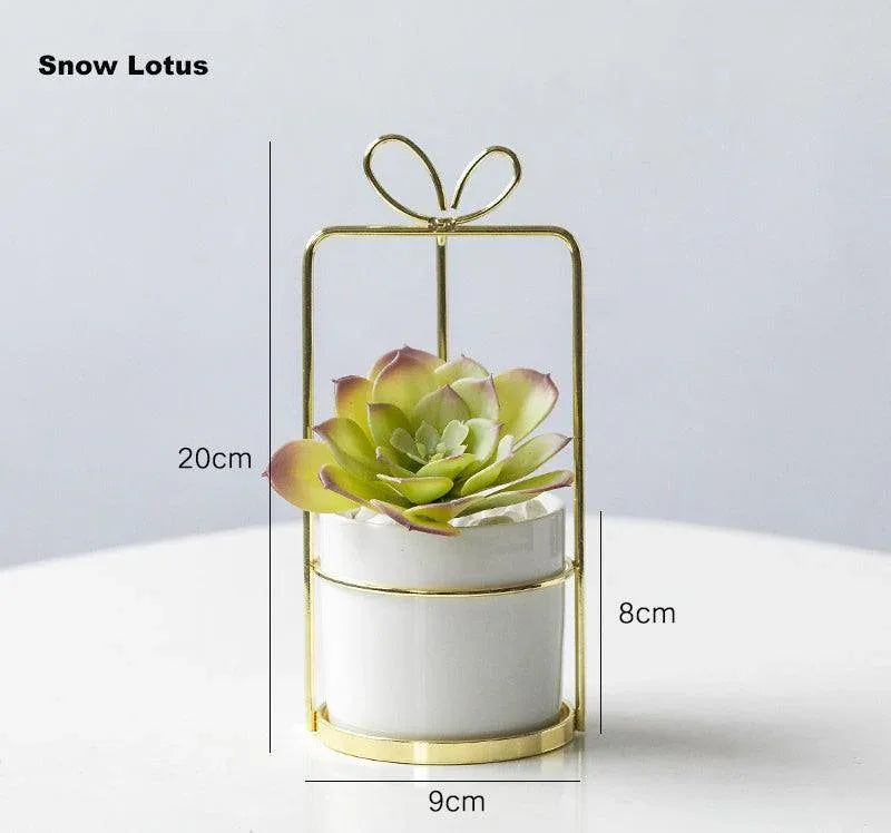Portable simulation succulent indoor study and living room decoration - Uflower