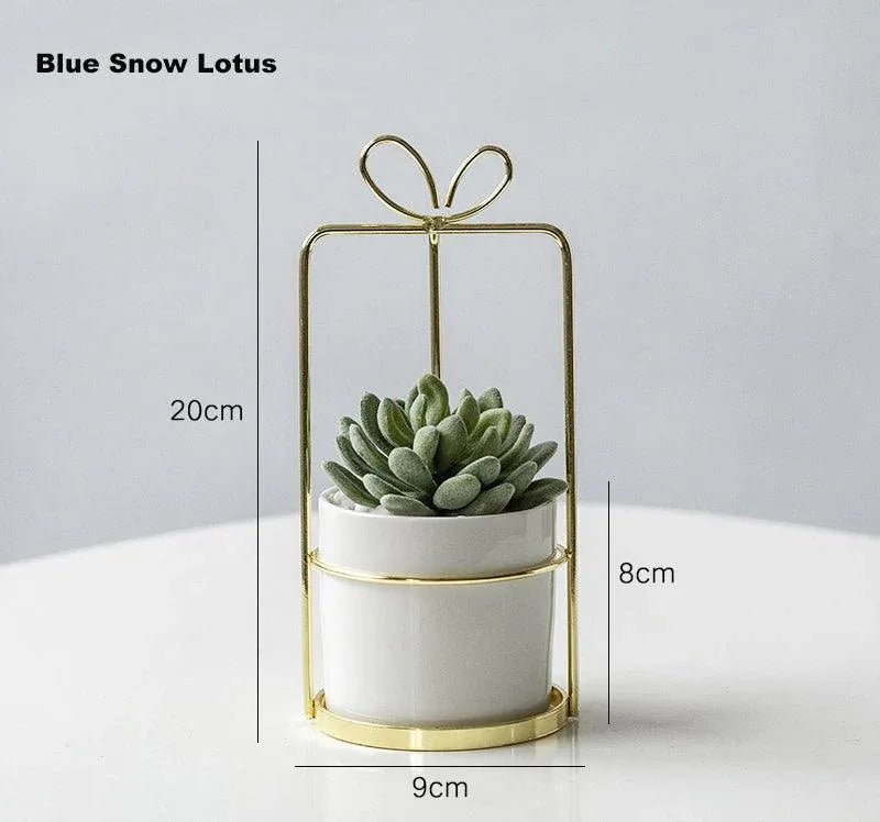 Portable simulation succulent indoor study and living room decoration - Uflower