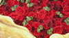 5D Burgundy Rose Artificial Rolling Up Curtain Flower Wall Video