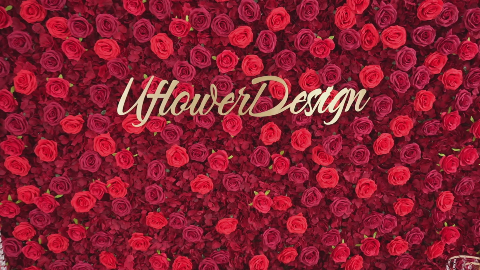 Artificial Red Rose Wedding Flower Wall  Decoration Video