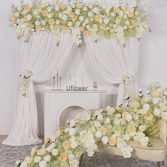 Cream White Butterfly Orchid Background Flower Row Video