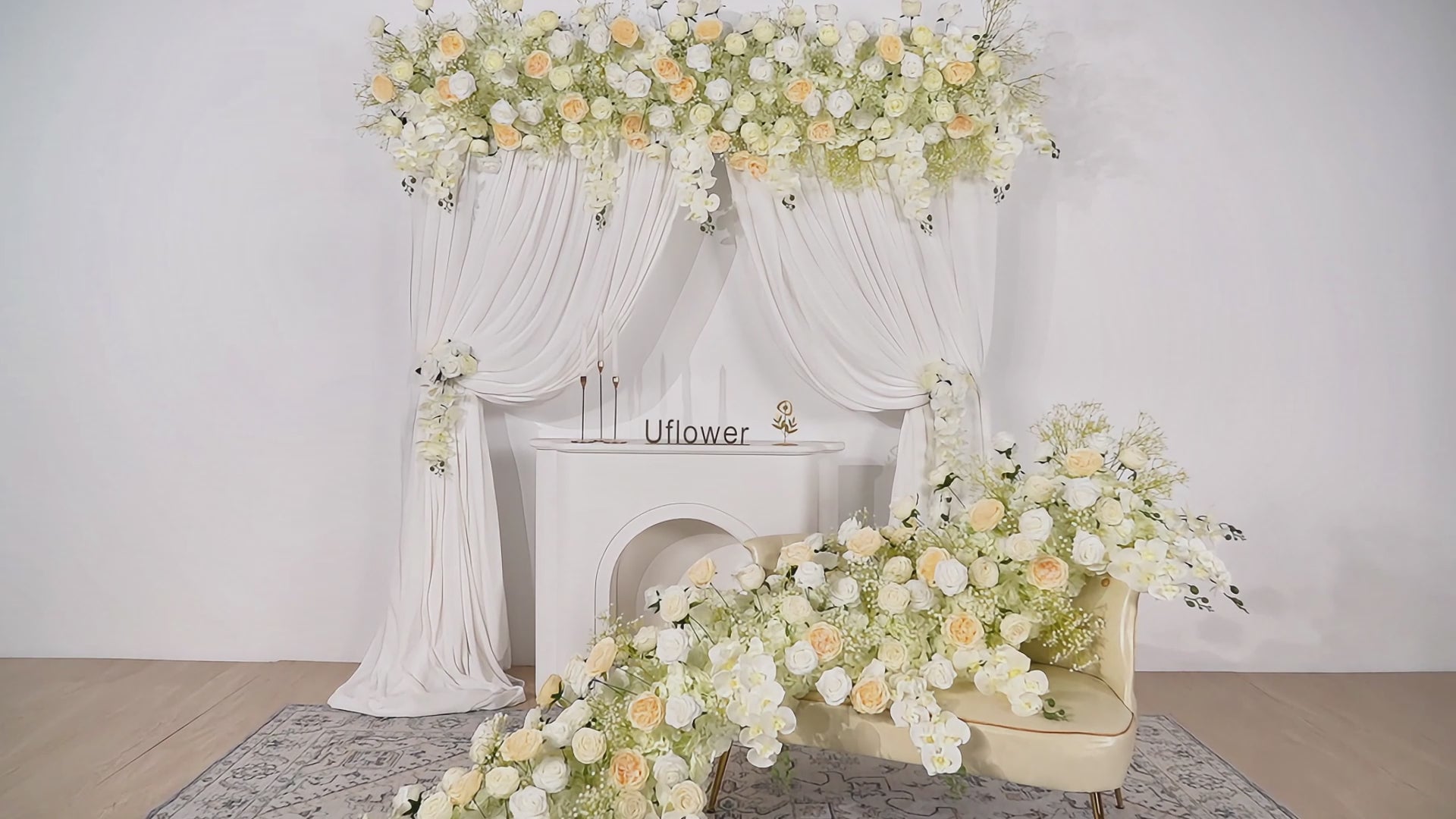 Cream White Butterfly Orchid Background Flower Row Video