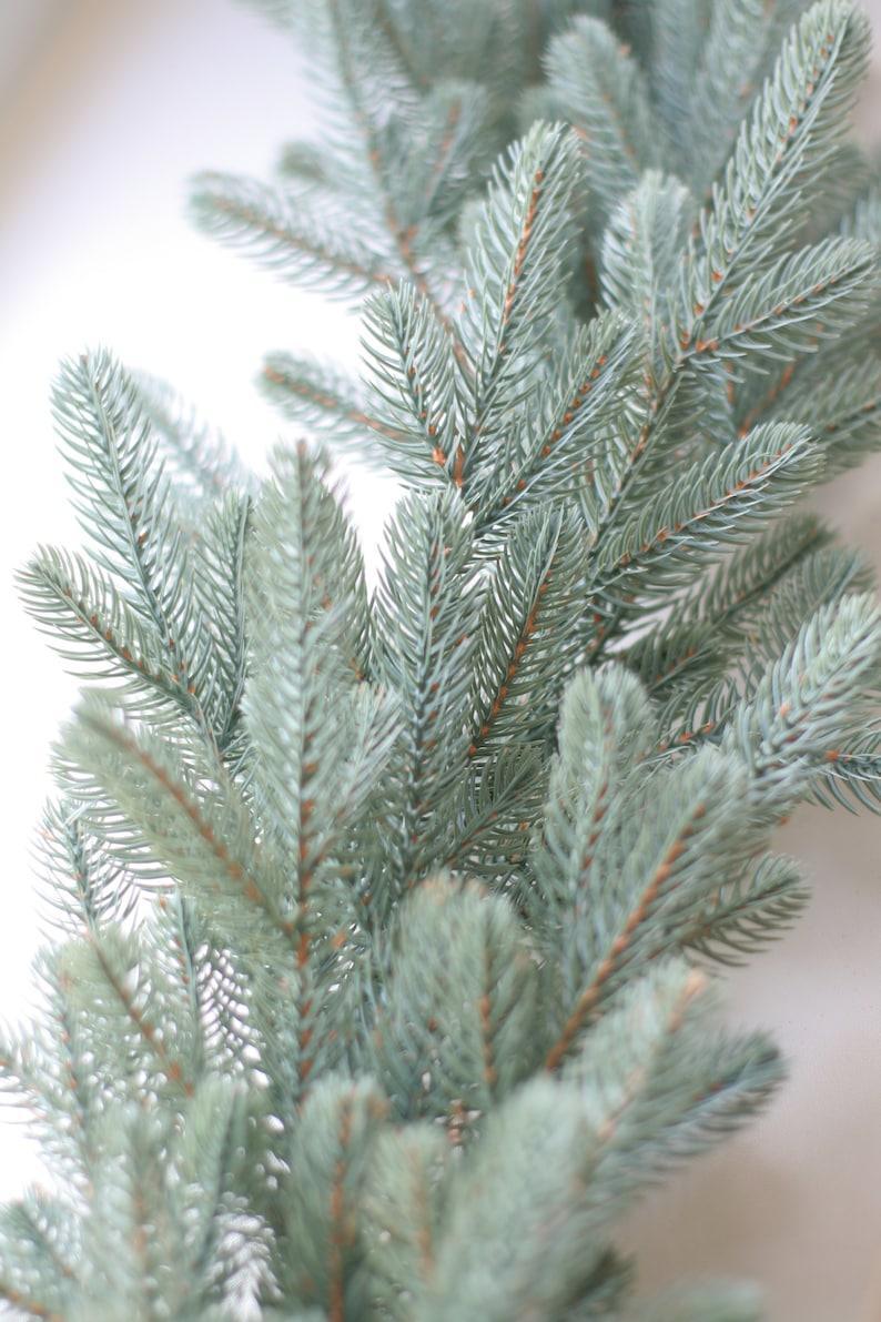 Greenery Garland Christmas Decorations - Uflower